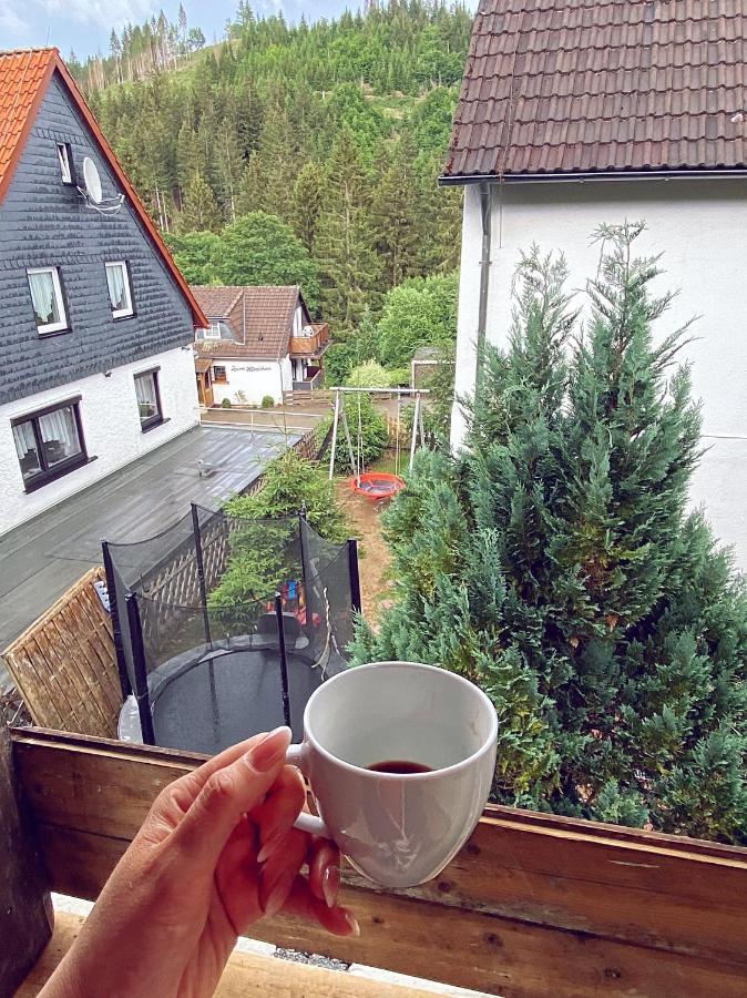 Harzgemuetlichkeit Fuer 2 Personen Und Haustier - Altenau! Altenau  Luaran gambar